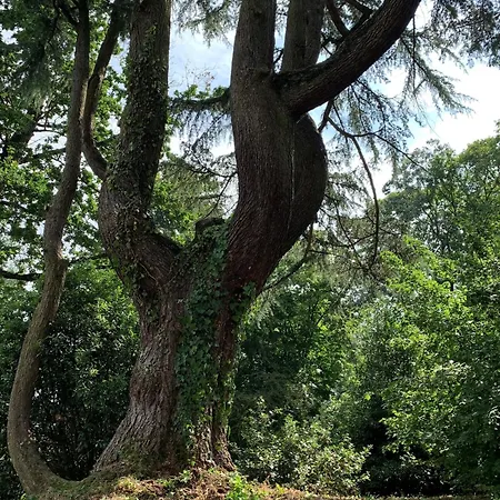 호텔 Le Chateau Des Forges