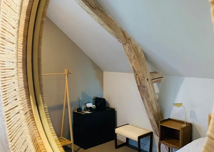 酒店 Le Chateau Des Forges 昂热