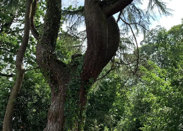 酒店 Le Chateau Des Forges