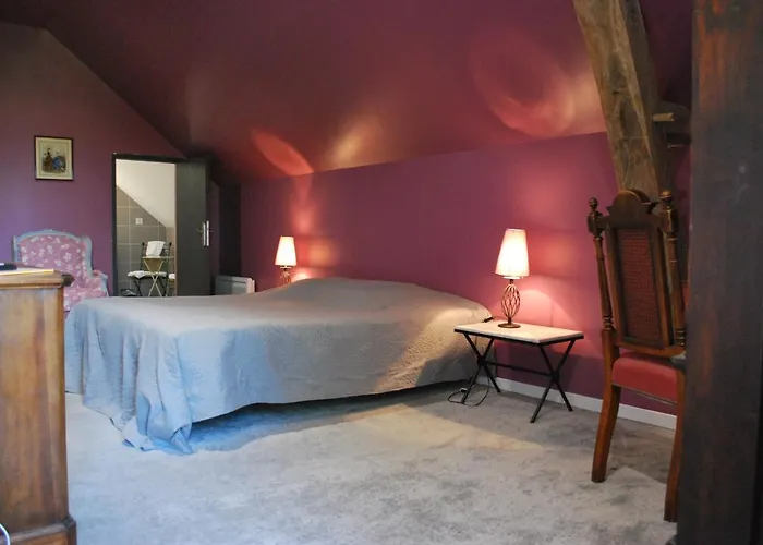 Le Chateau Des Forges 3* 昂热